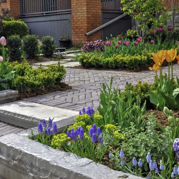 This beautiful, urban front yard spring garden features a large veranda, brick paver walkway, retaining wall with plantings of bulbs, shrubs and perennials for colour, texture and winter interest.